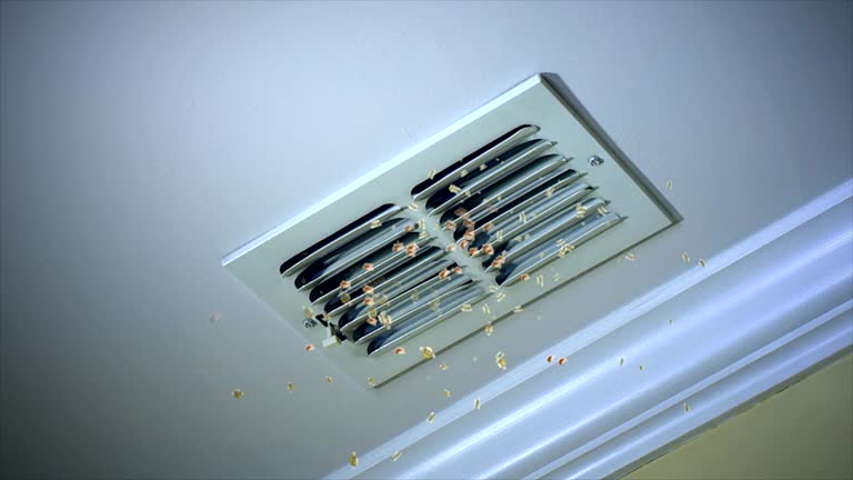 Best Local Air Duct Cleaning Services  in Holiday, FL