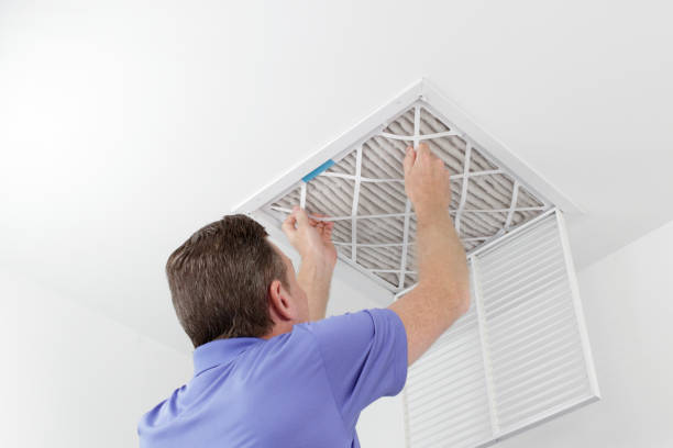 Best Affordable HVAC Duct Cleaning  in Holiday, FL